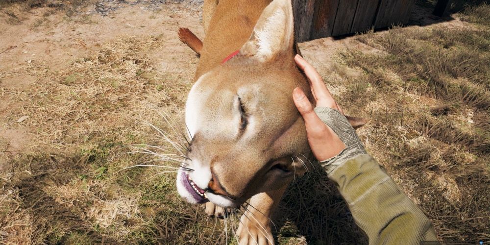 Far Cry 5 Every Companion, Ranked