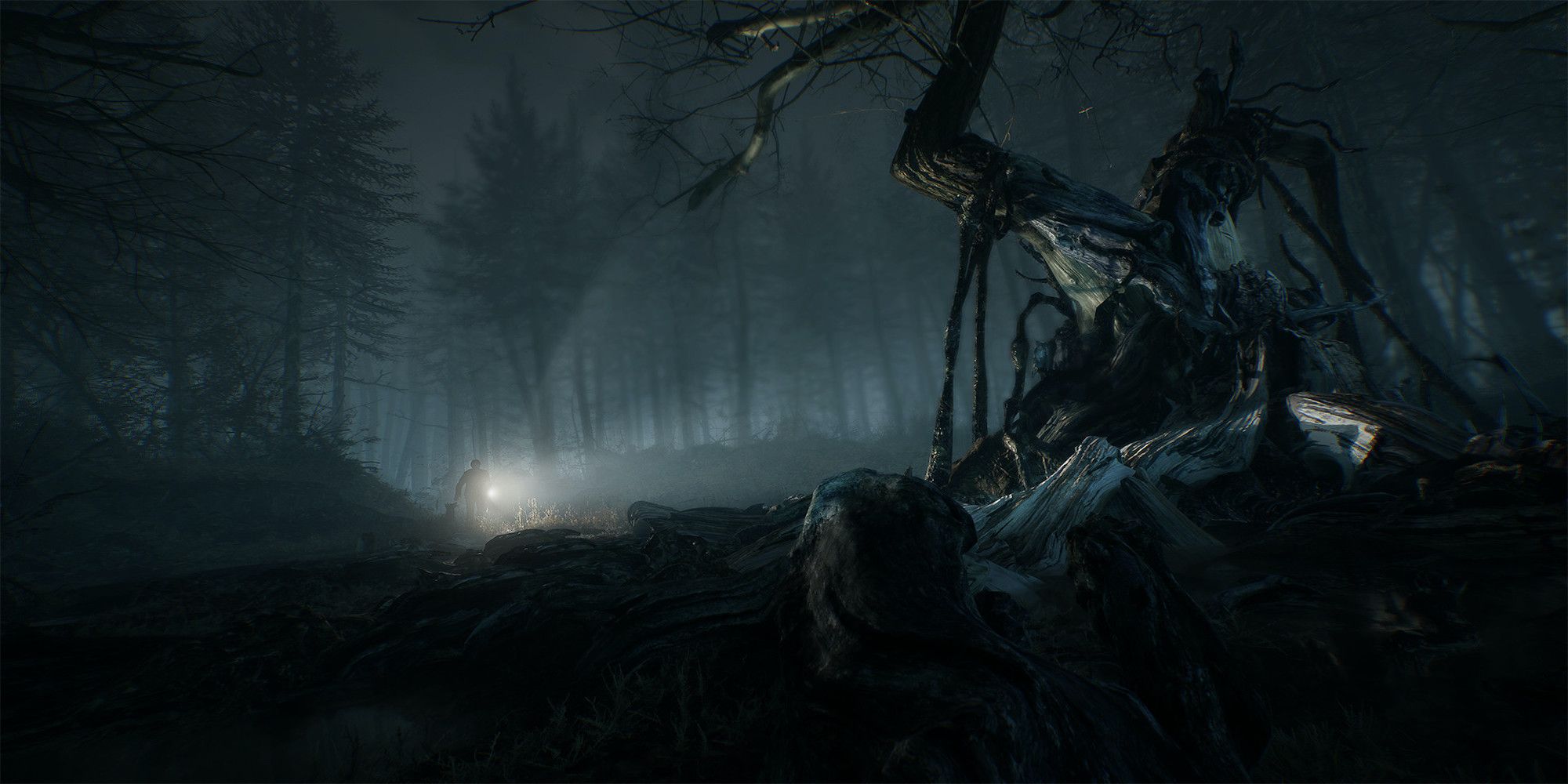Gameplay from Blair Witch