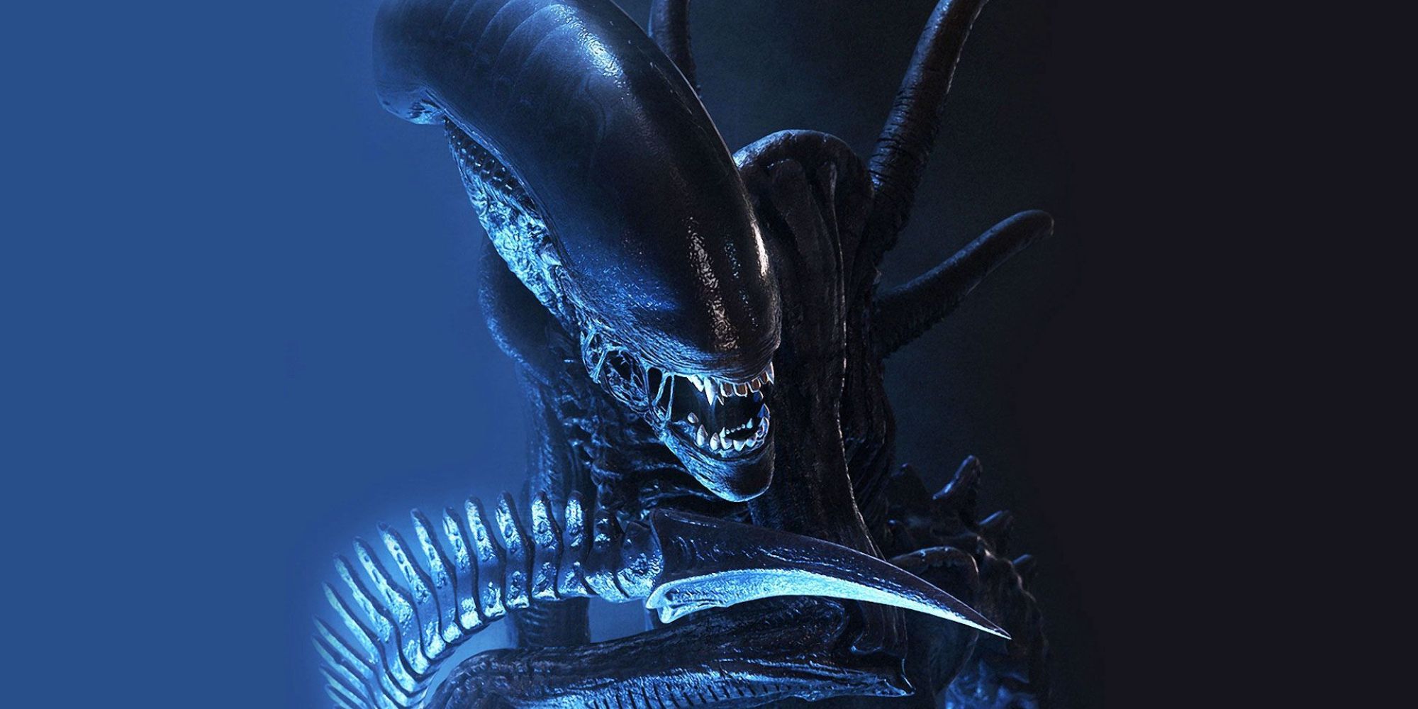 Xenomorph from the Alien franchise