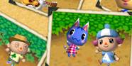 18 Animal Crossing Wild World Play Trucos