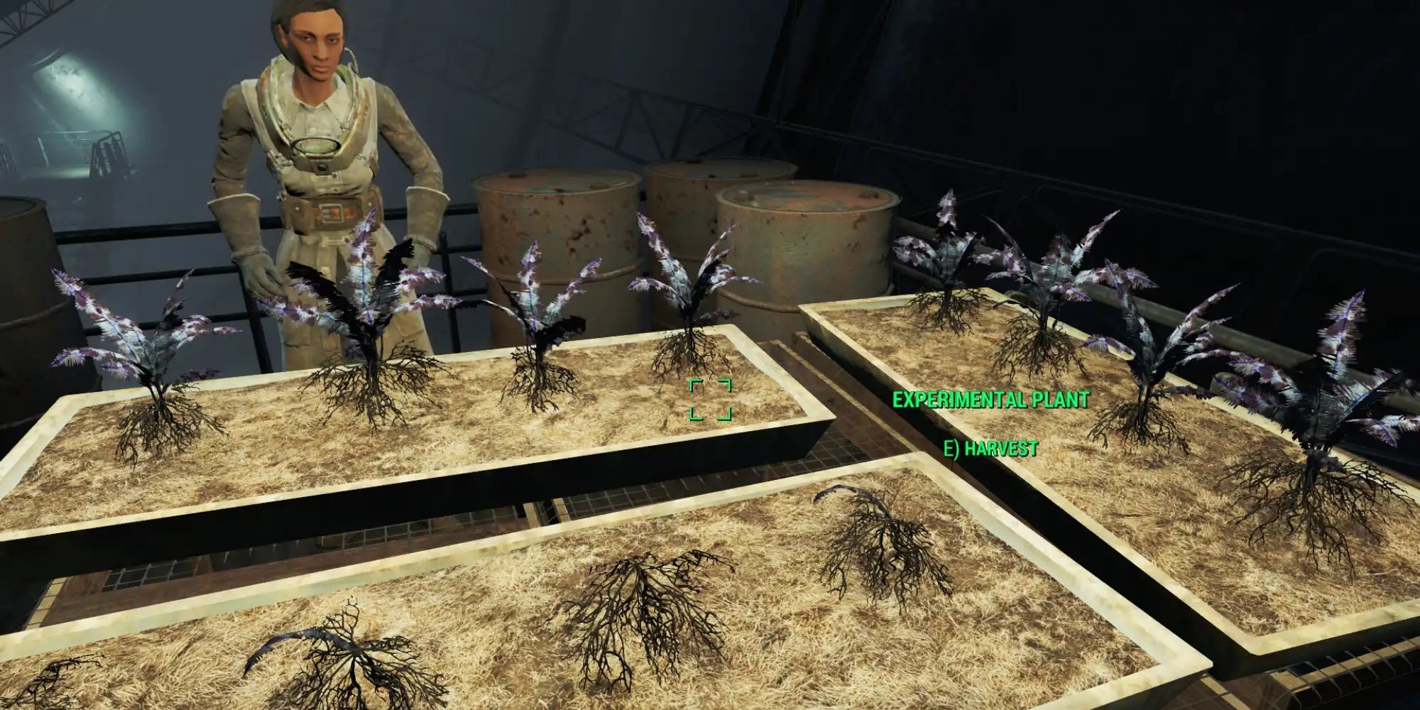 bethesda rpg fallout 4 brotherhood of steel nirnroot experimental plant