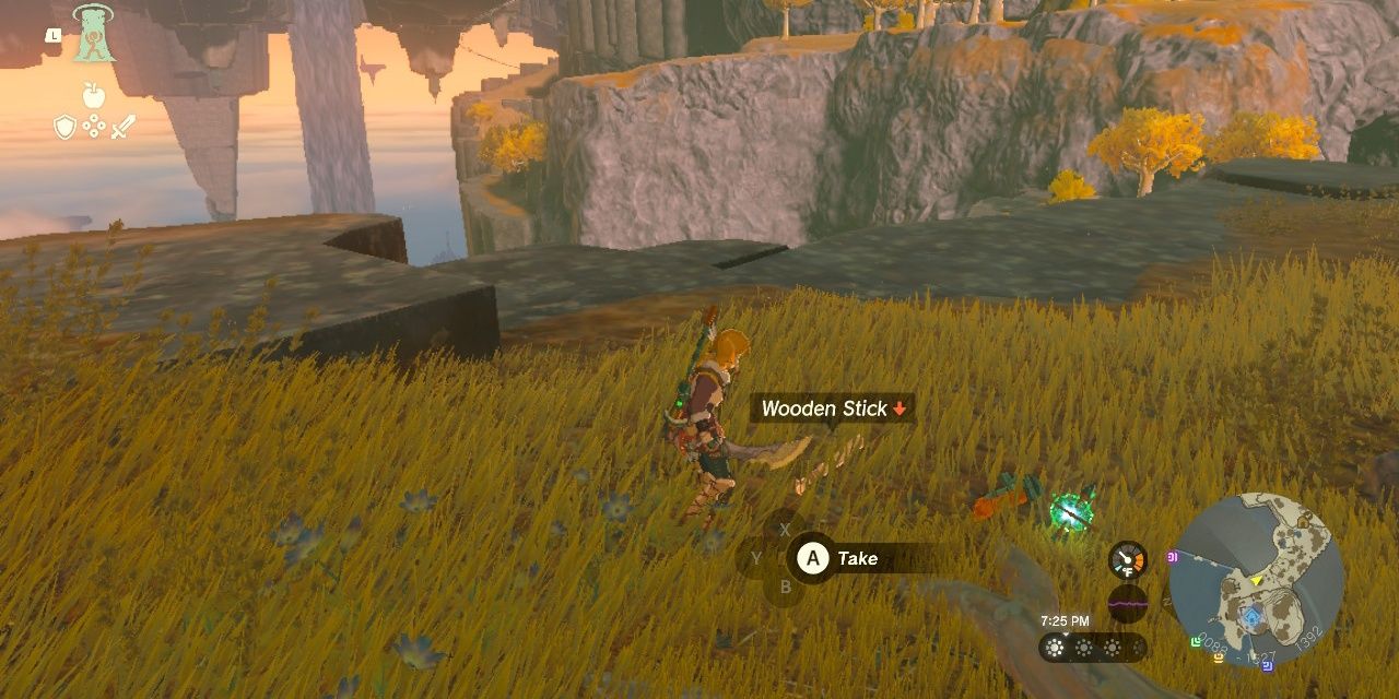 Image of Link in front of a Wooden Stick in The Legend of Zelda: Tears of the Kingdom.