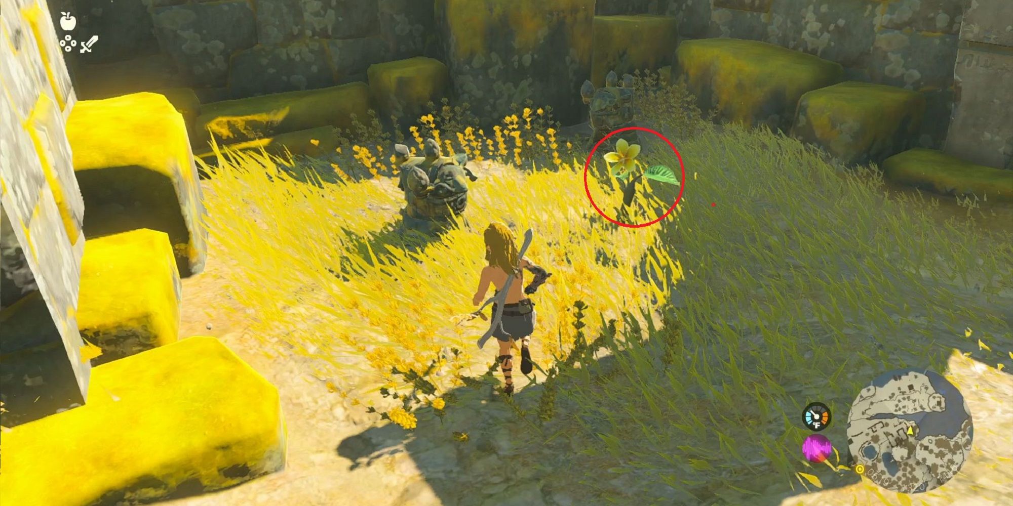 Tears Of The Kingdom: All Korok Seeds on Great Sky Island