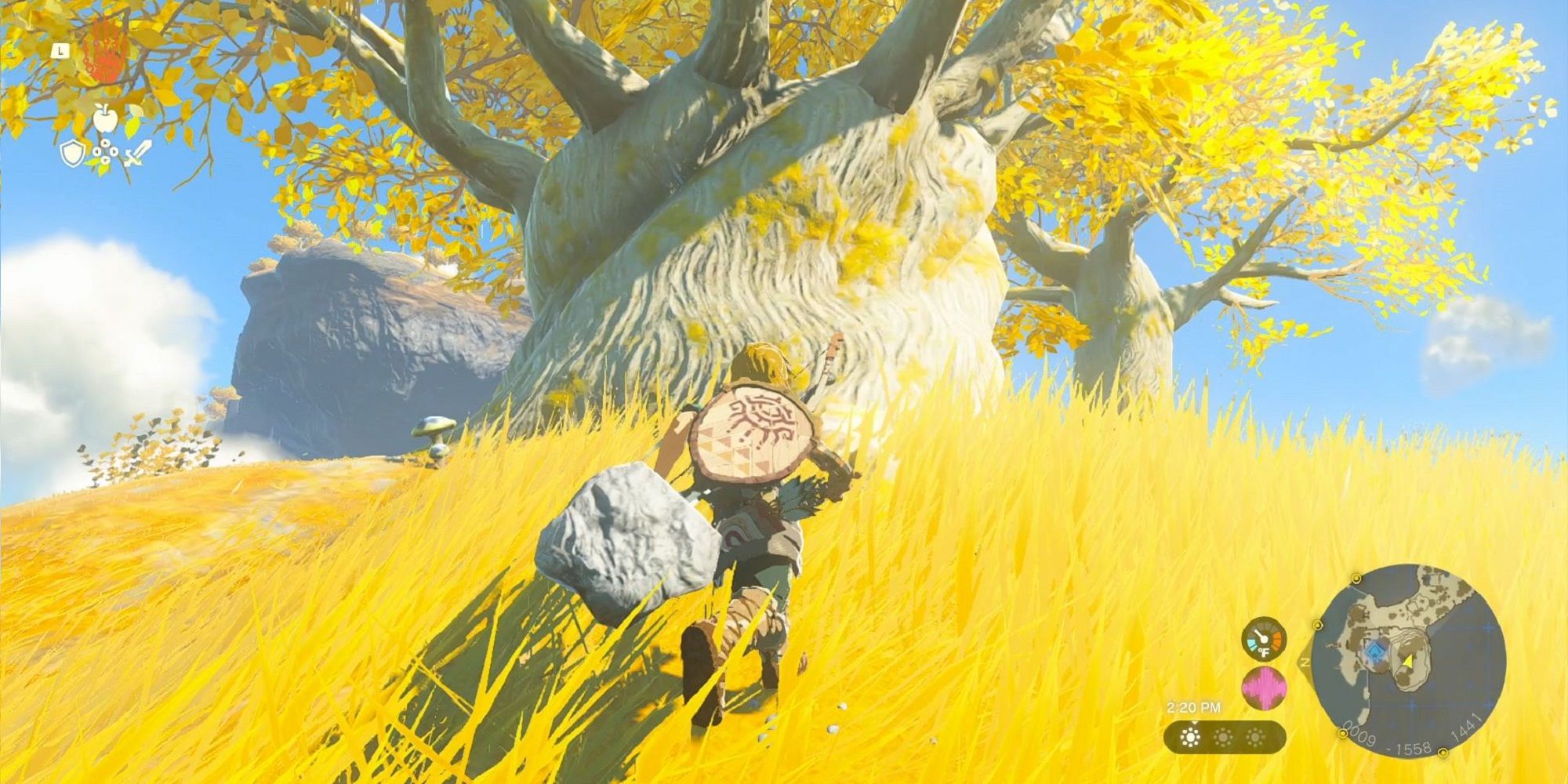 Tears Of The Kingdom: All Korok Seeds on Great Sky Island