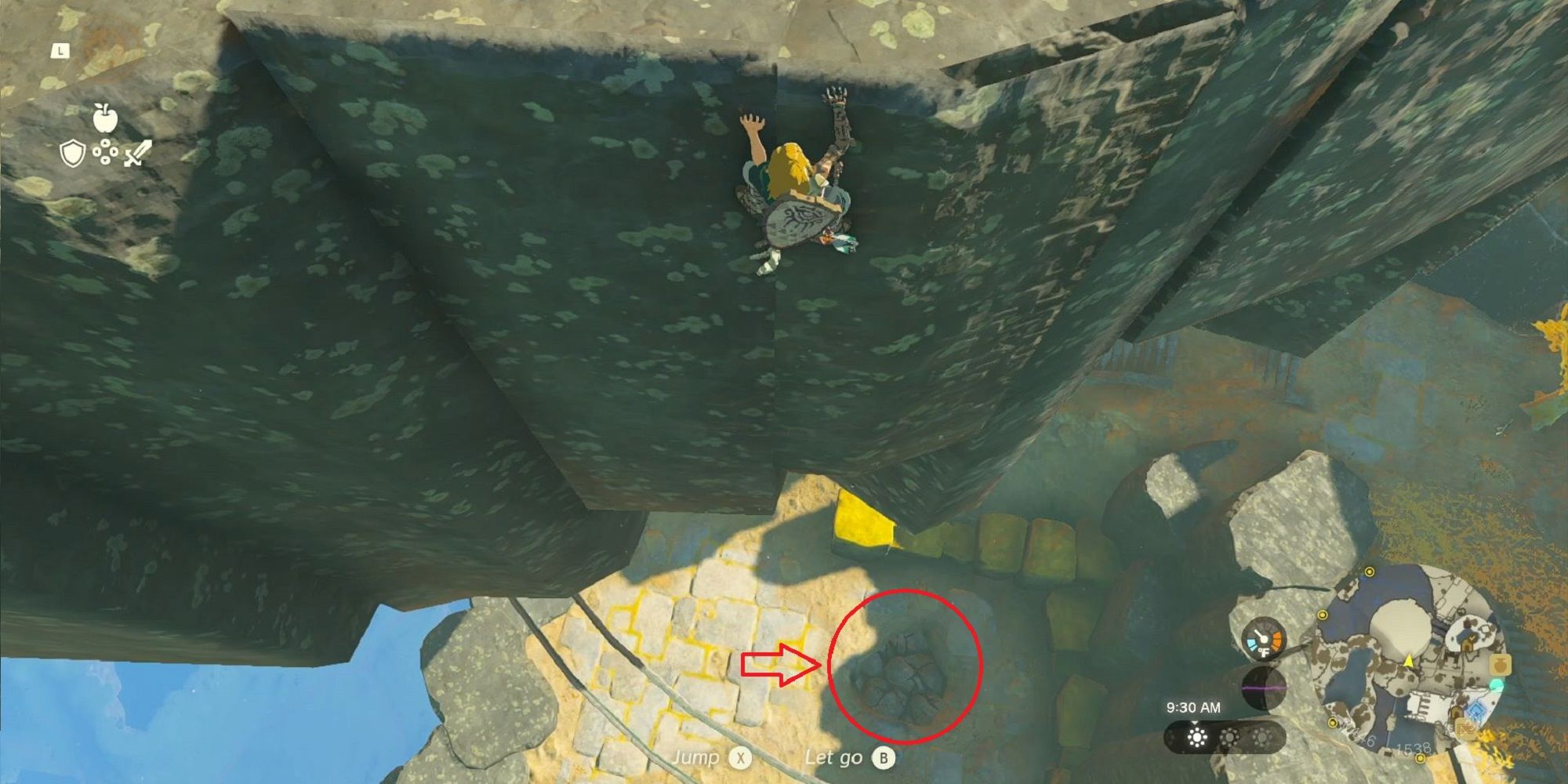 Tears Of The Kingdom All Korok Seeds on Great Sky Island