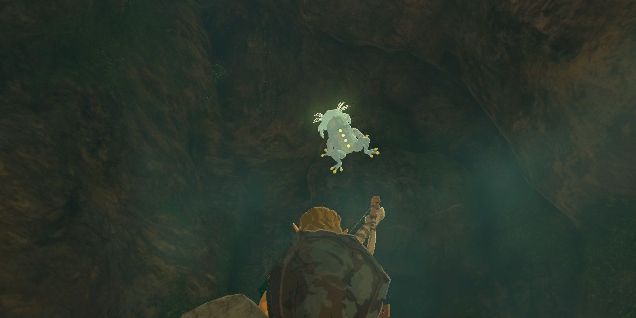 Link stares at a Bubbulfrog clinging to the roof of a cave.