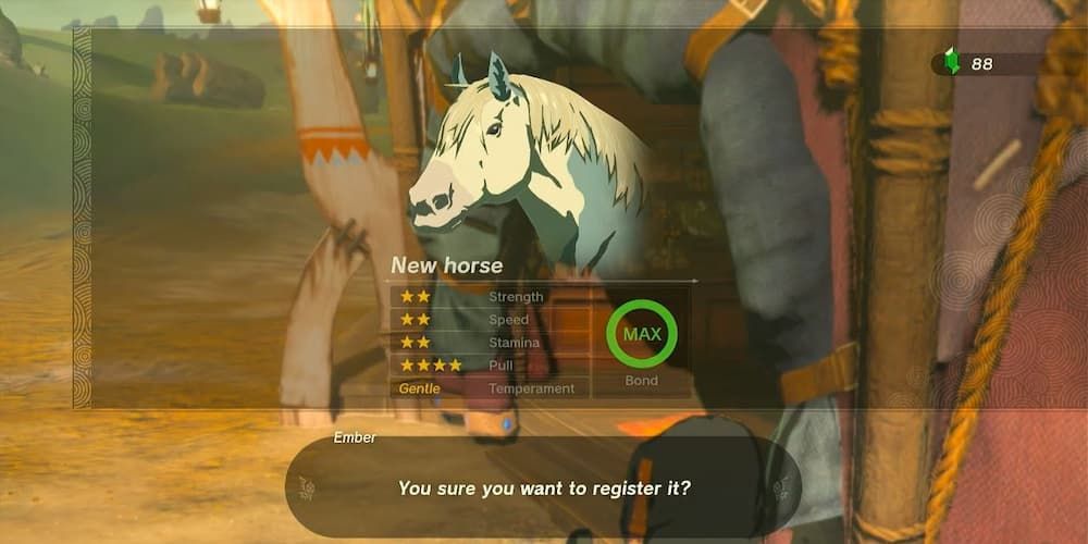 Registering A Horse In Stables in Tears of the Kingdom