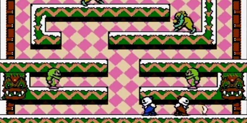 Rare NES Games