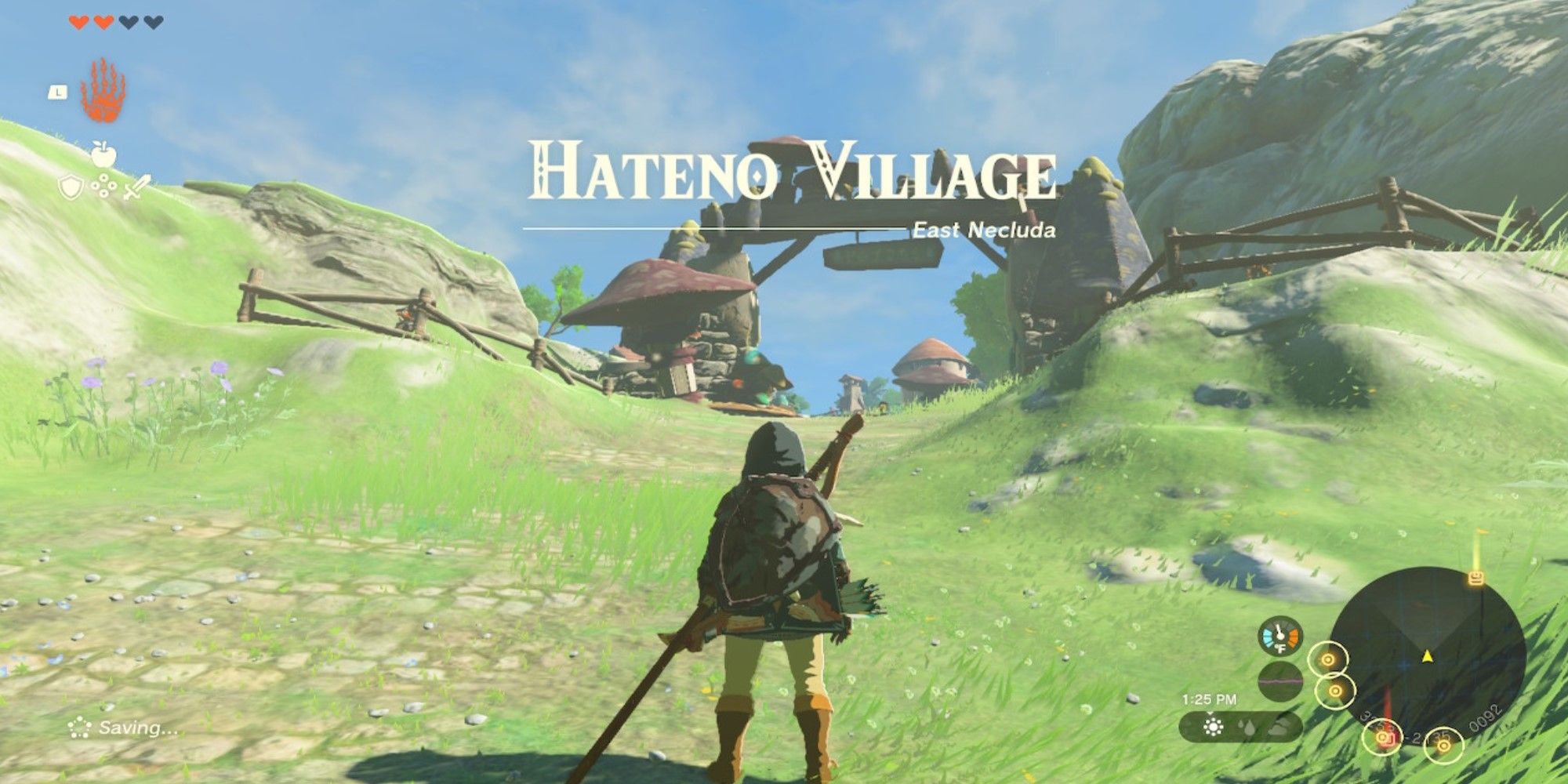 Tears Of The Kingdom Link Entering Hateno Village