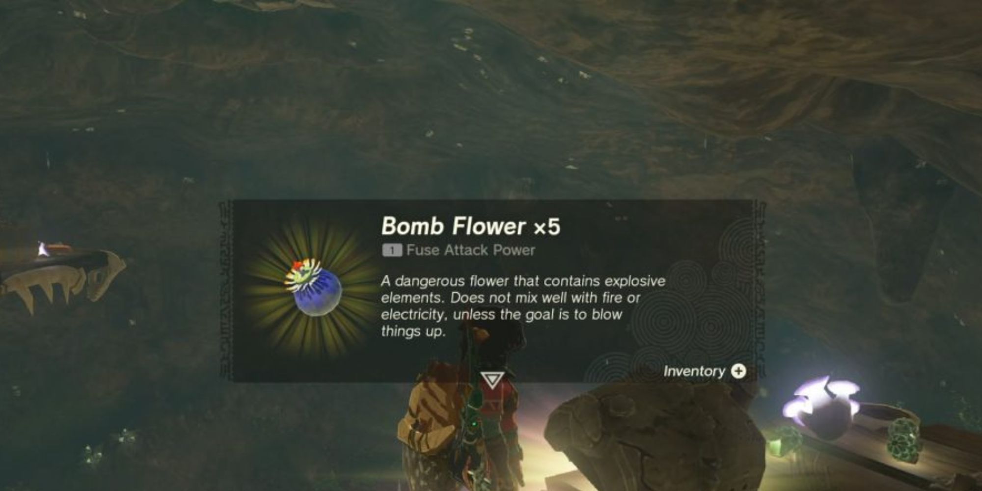 Tears Of The Kingdom - Where To Find Bomb Flowers