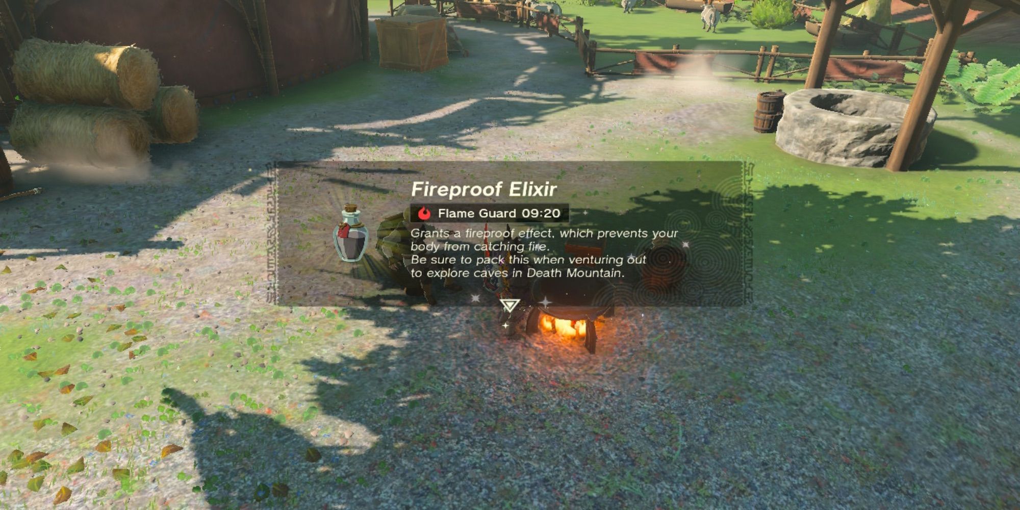 The Legend of Zelda Tears of the Kingdom Fireproof Elixir