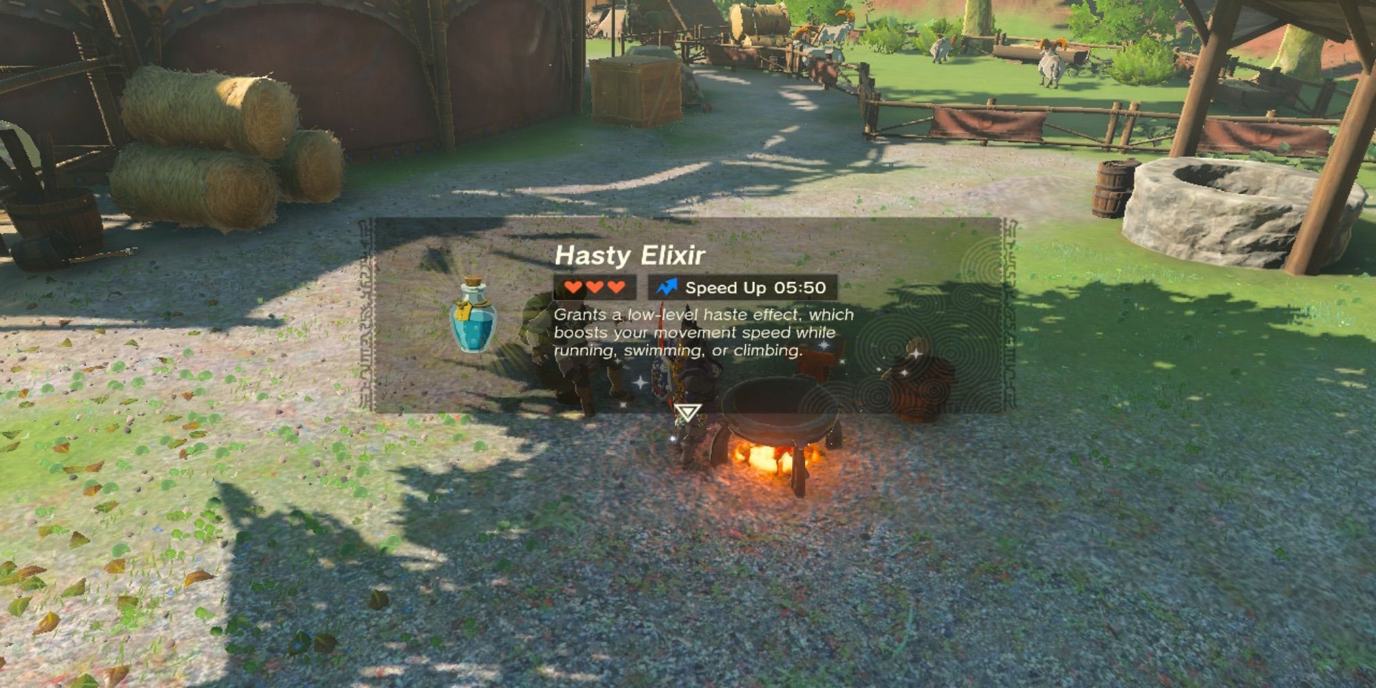 The Legend of Zelda Tears of the Kingdom Hasty Elixir
