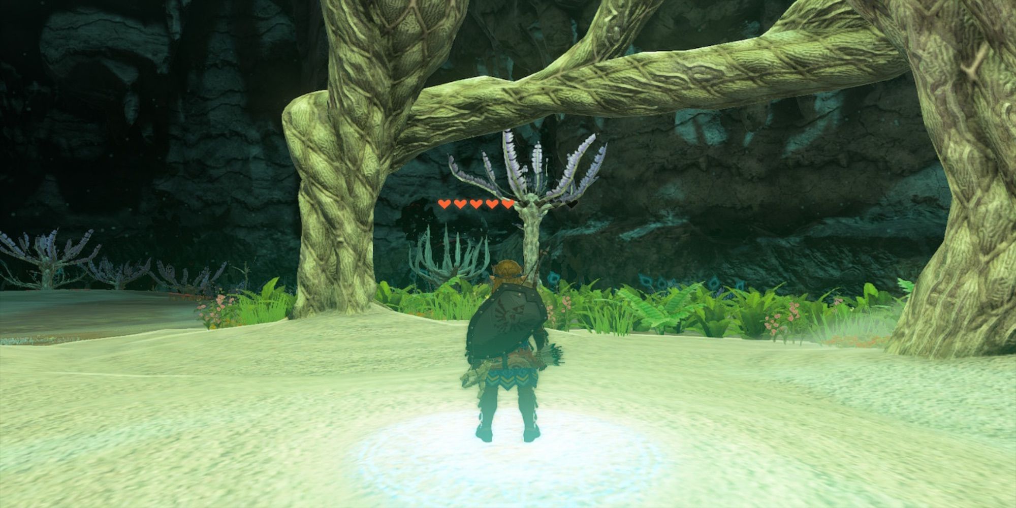Tears Of The Kingdom - How To Restore Health Lost By Gloom