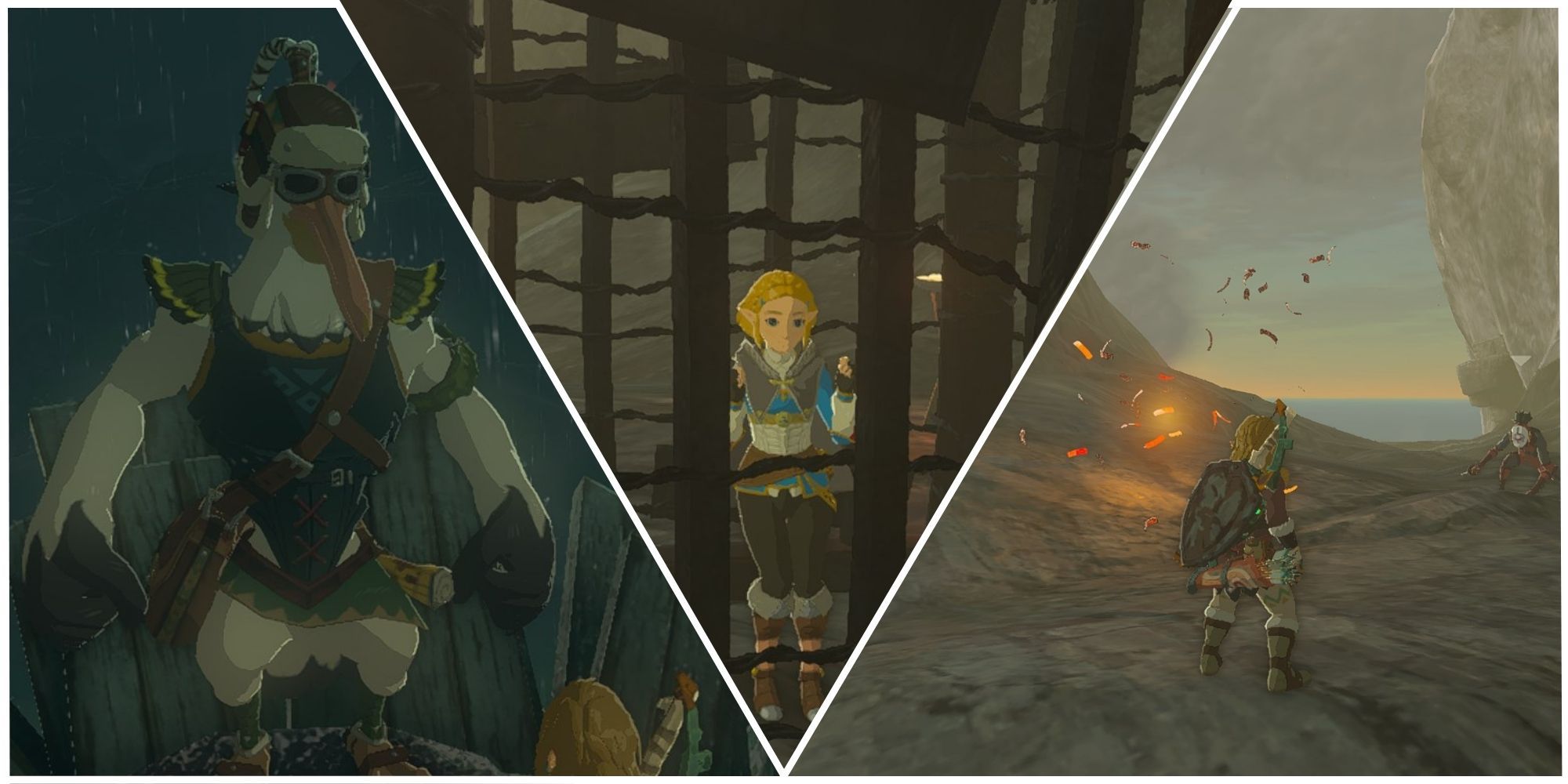 Tears Of The Kingdom - Princess Zelda Kidnapped?! Quest Walkthrough