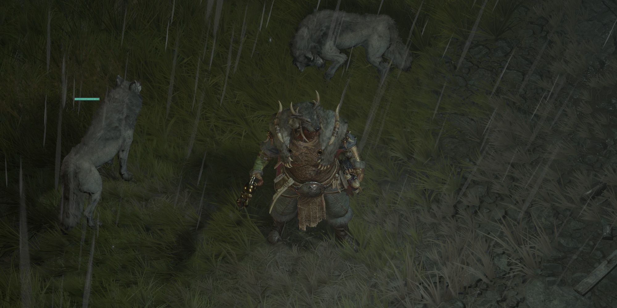 Diablo 4 a druid shapeshifter stands ready to turn into either a Werebear or Werewolf