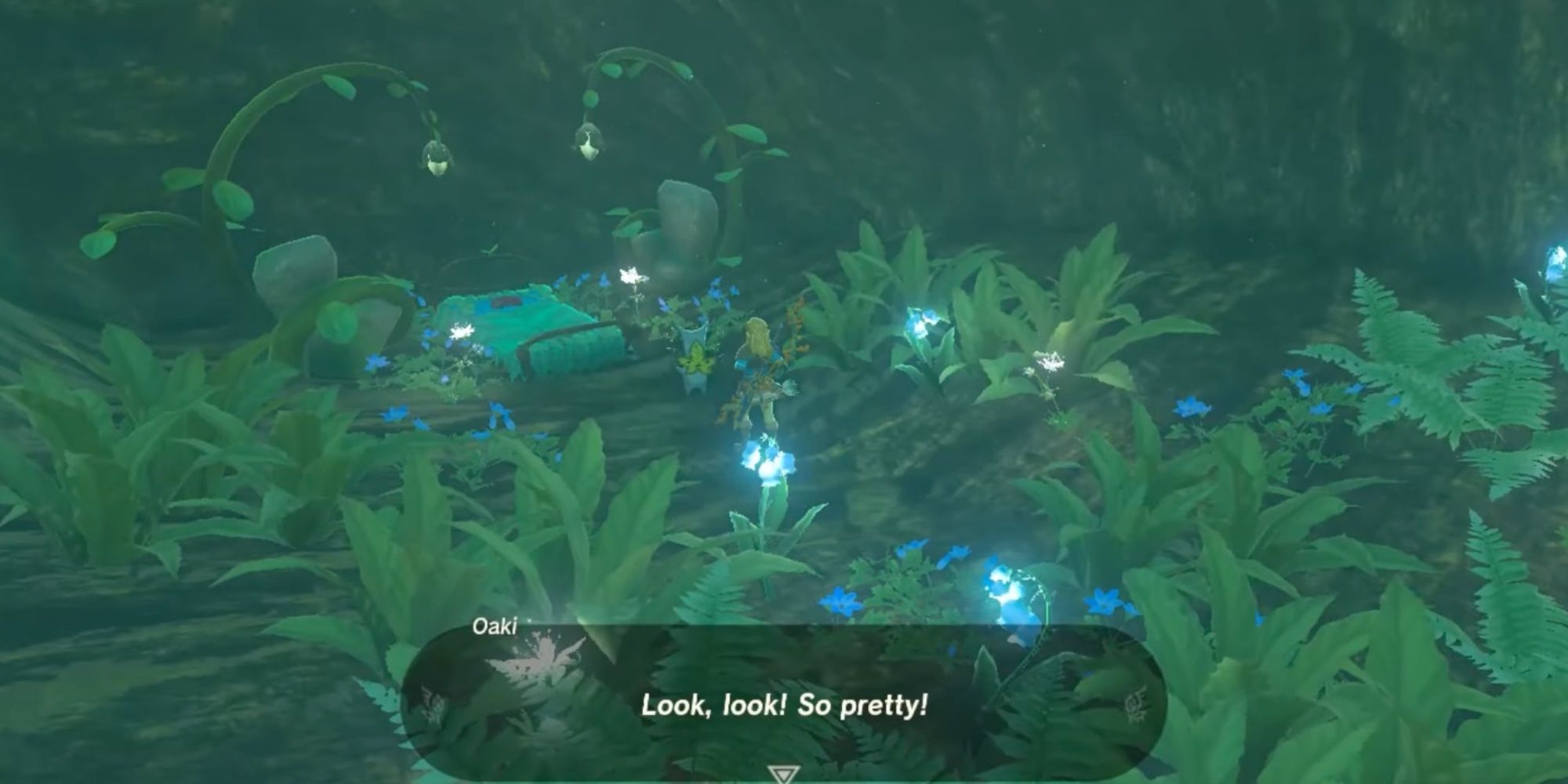 Link helping Oaki decorate his room inside Deku Tree's Mouth