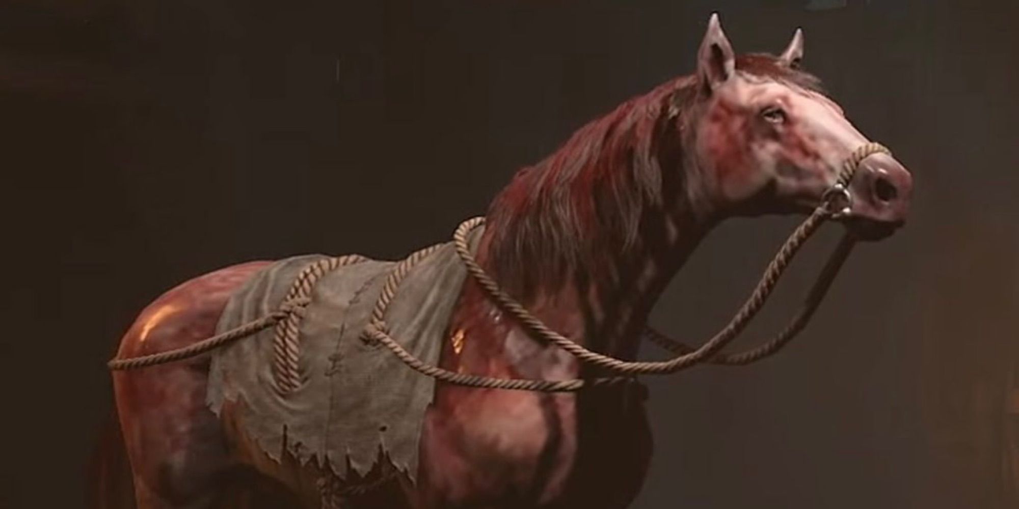 Diablo 4 Mount Bloody Steed