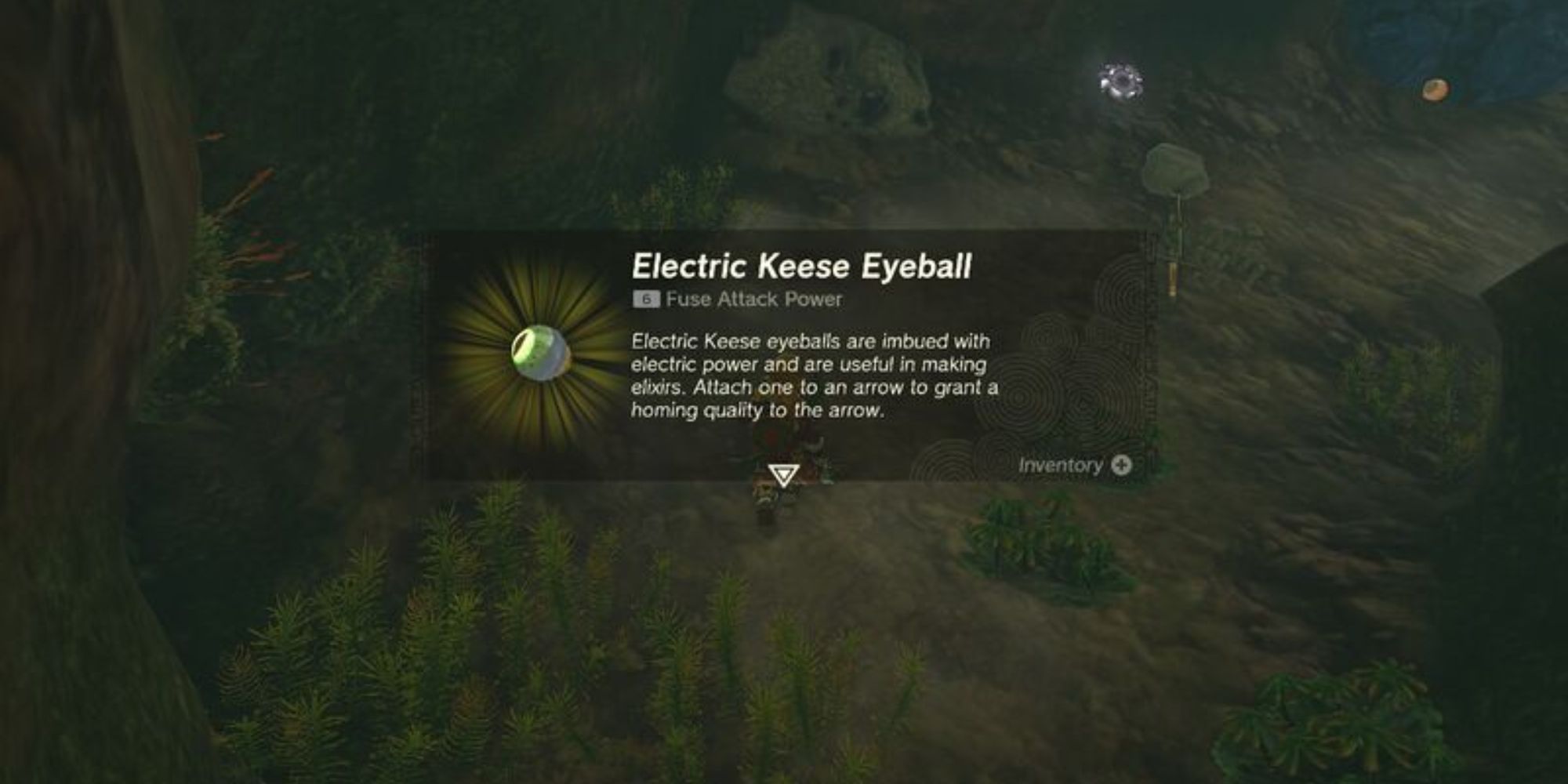 Electric Keese Eyeball
