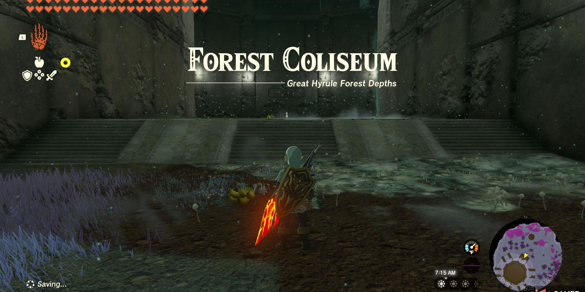 Link entering the Forest Coliseum 