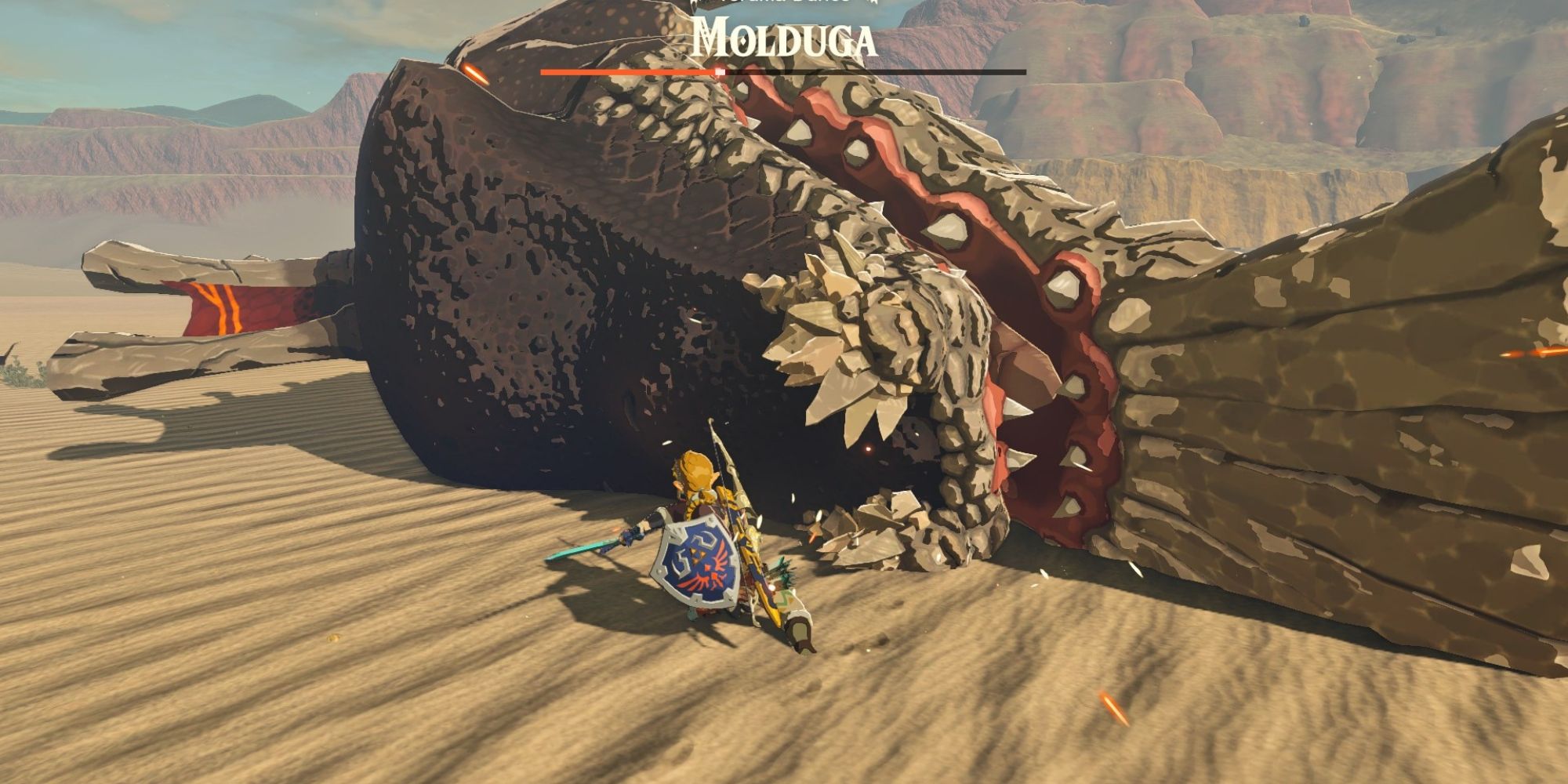 link fighting the Molduga in the Gerudo Desert totk