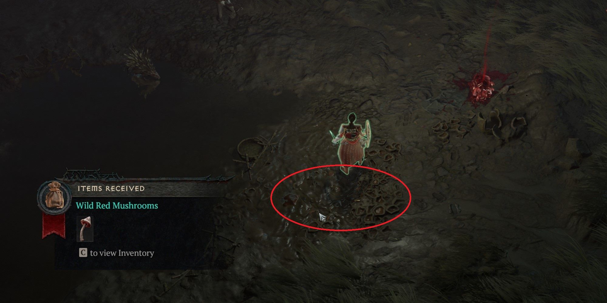 In-game screenshot of where the red mushroom is located in the Diablo 4 side-scroll Bried to Heel
