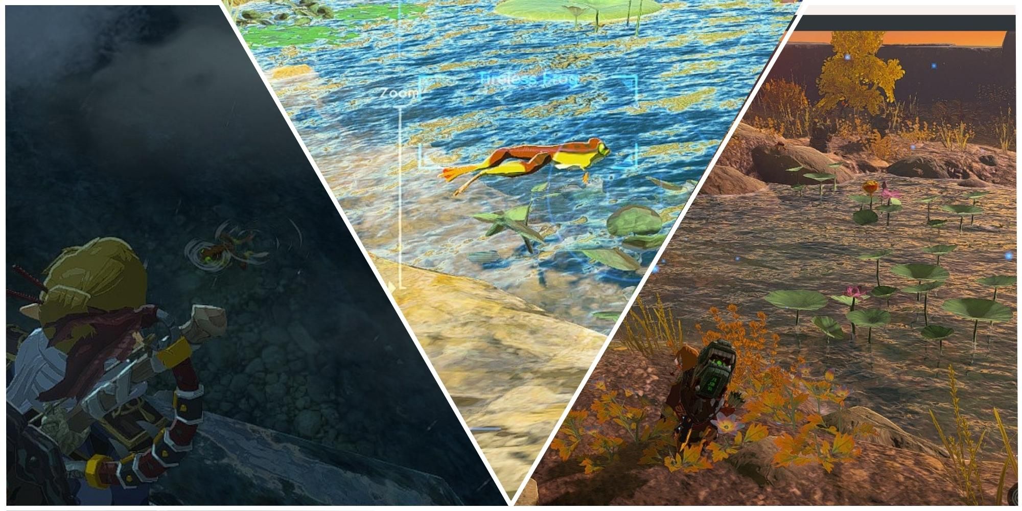 Tears Of The Kingdom Where To Farm Tireless Frogs