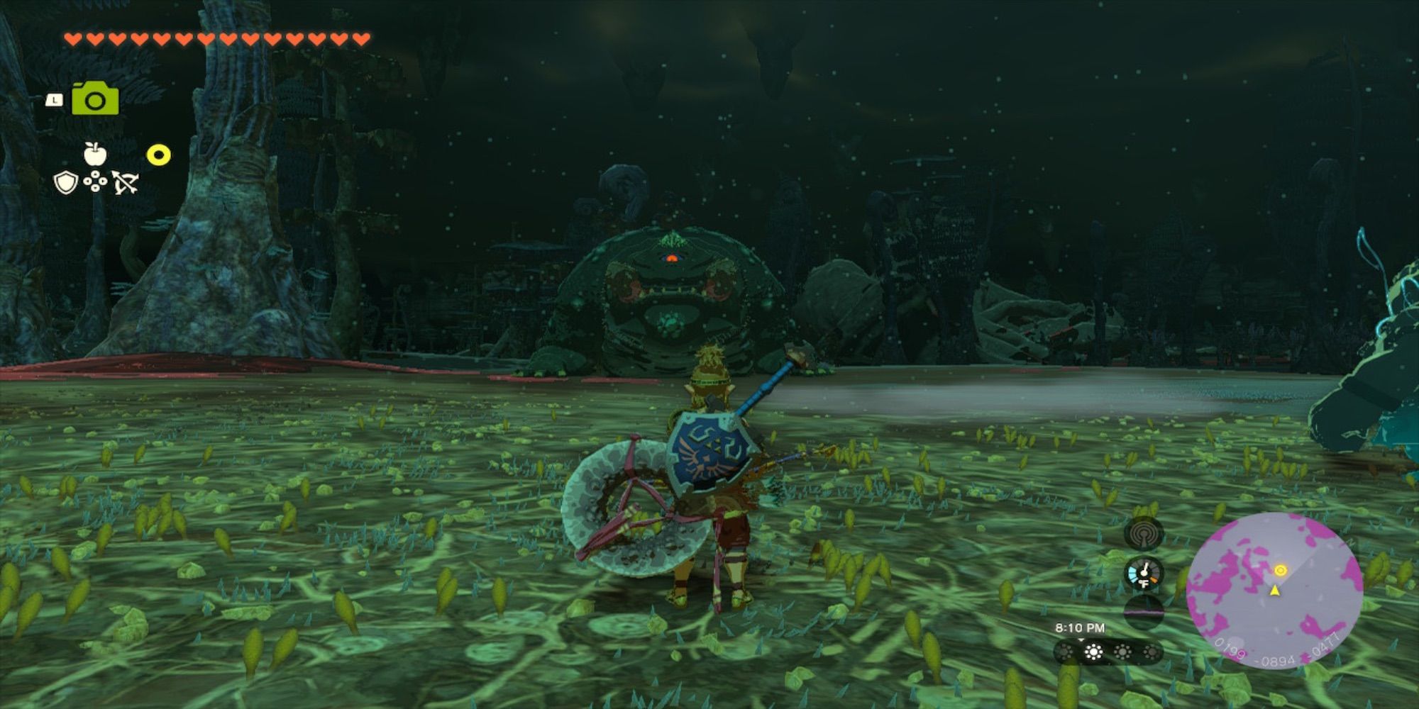The Legend of Zelda Tears of the Kingdom Frox
