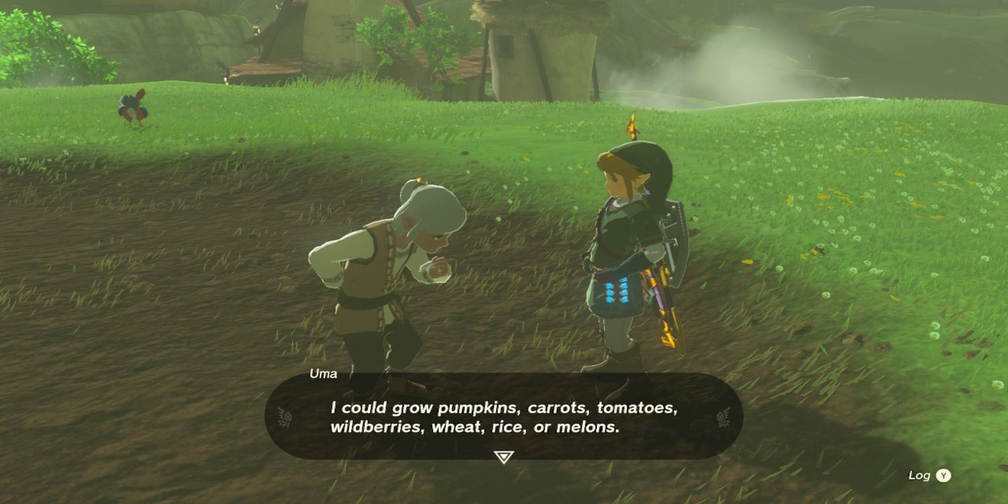 The Legend of Zelda Tears of the Kingdom Garden Crops