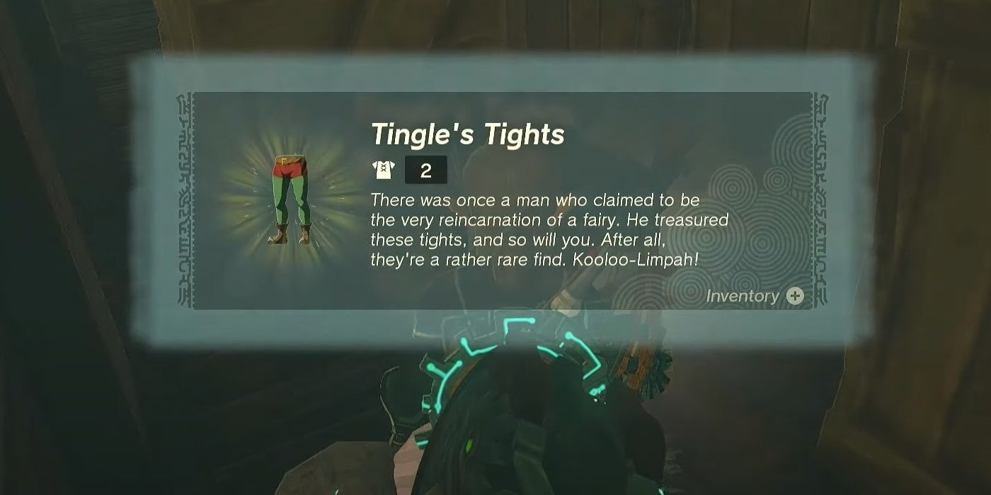The character in The Legend Of Zelda: Tears Of The Kingdom opened the Pirate's Chest and was rewarded with Tingle's Tights. 