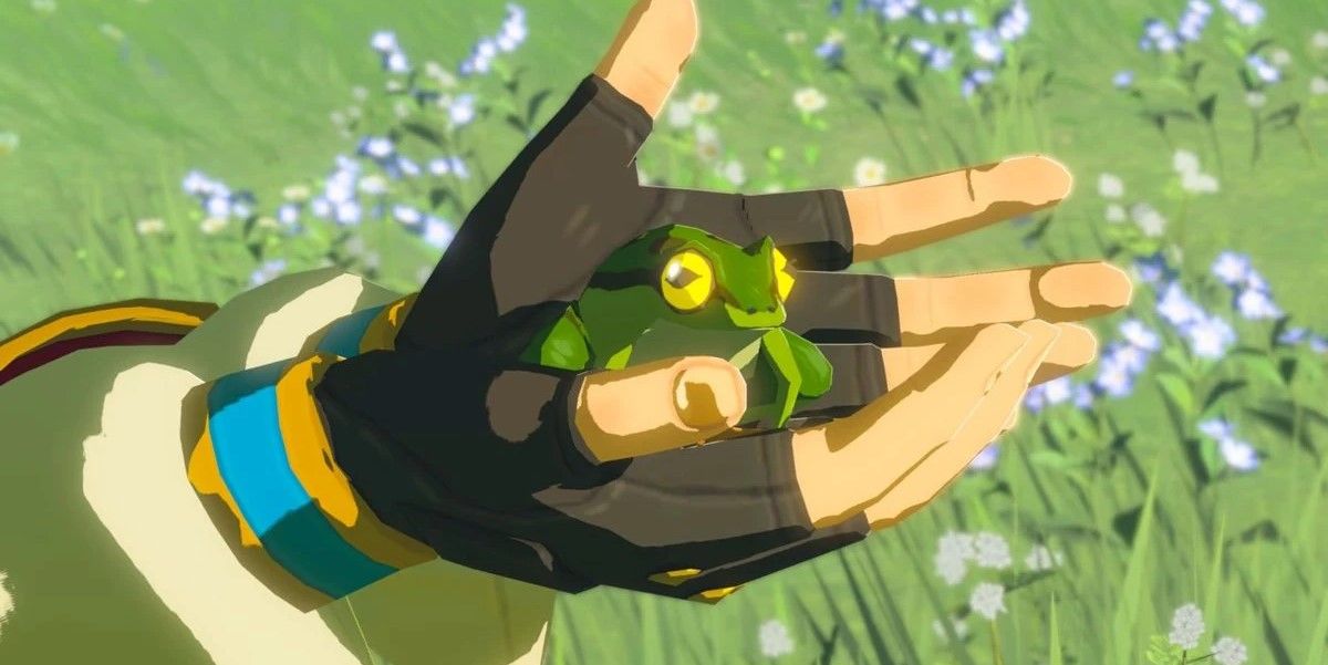 Why Tears Of The Kingdom Speedrunners Are Duplicating Frogs