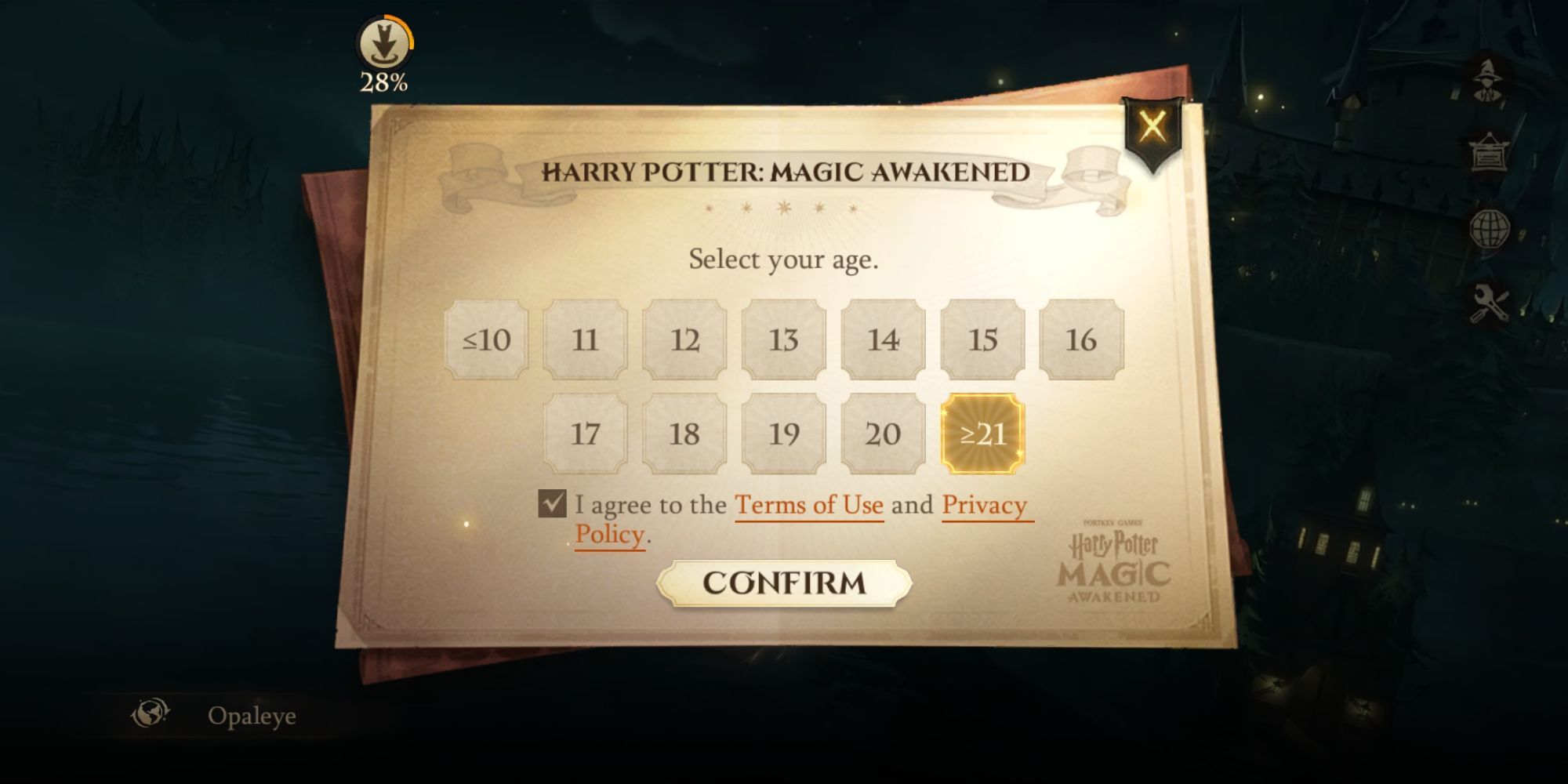 Harry Potter: Magic Awakened Select Your Age Page