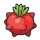 Pokemon - Tomato Berry