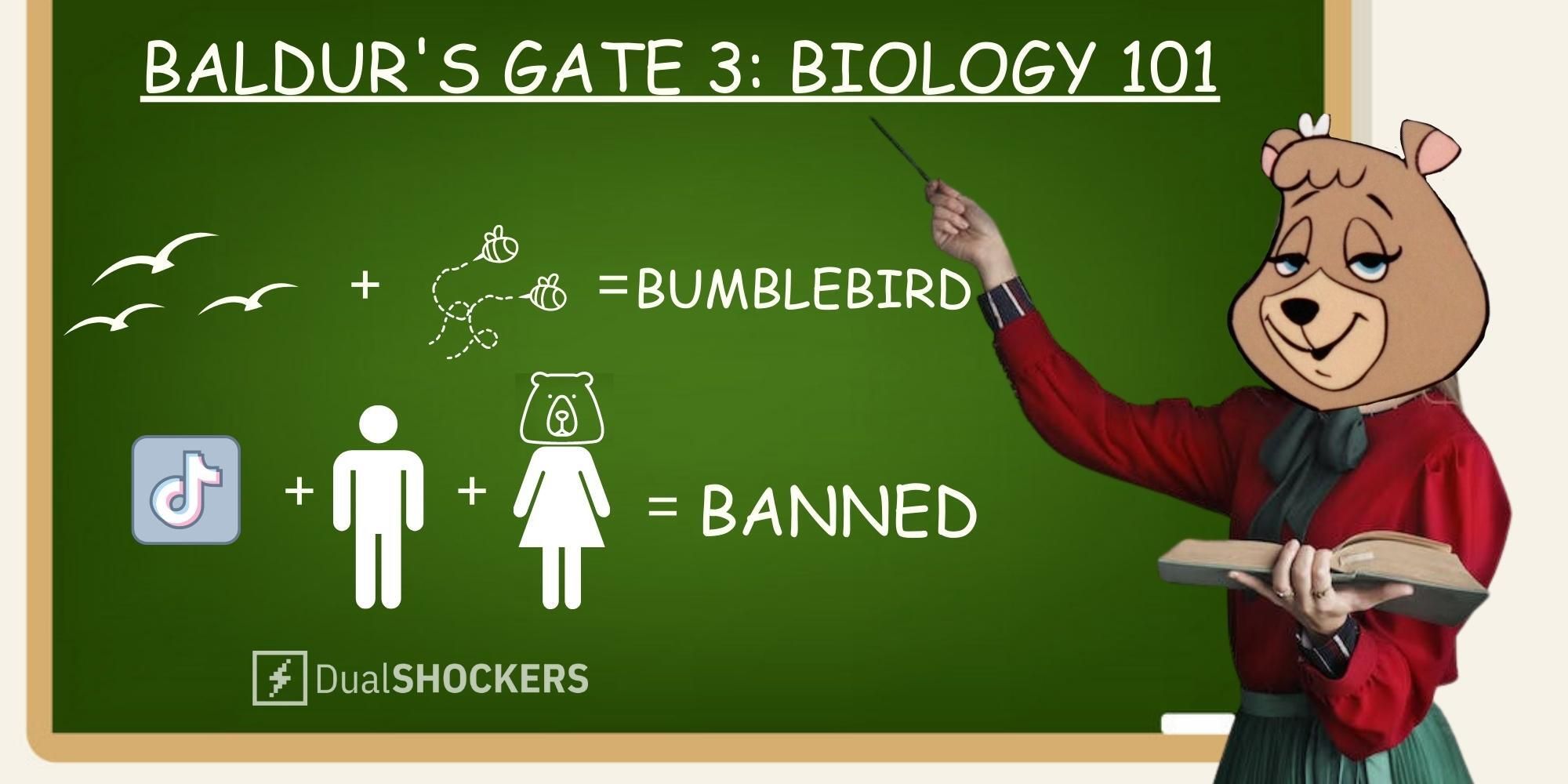Forget Bear Sex, Here’s A Baldur’s Gate 3 Biology Lesson Fans Actually Enjoy