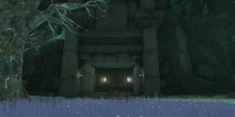 The Legend of Zelda Tears of the Kingdom - Coliseums