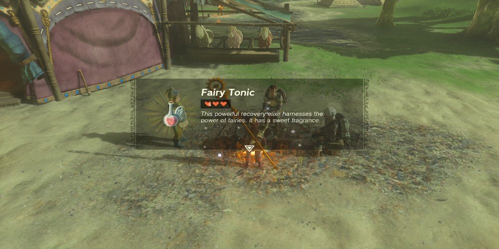 The Legend of Zelda Tears of the Kingdom Fairy Tonic
