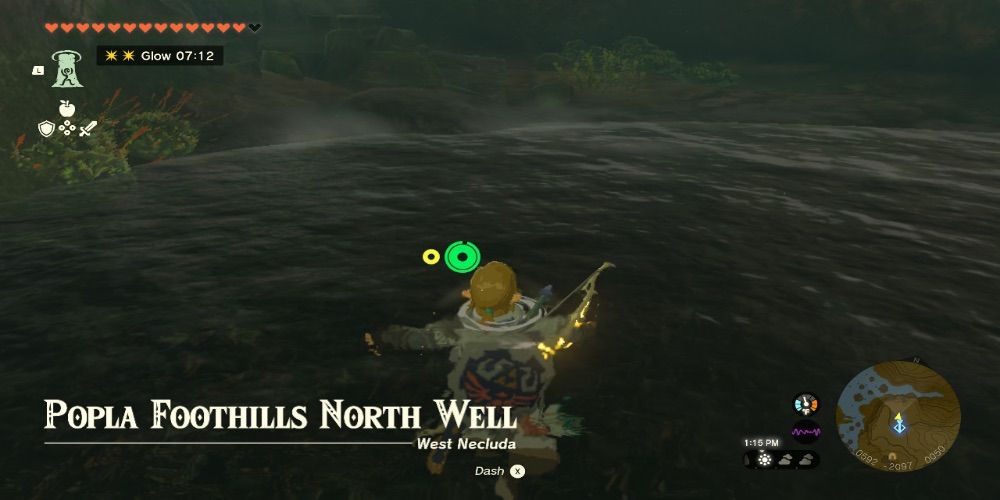 The Legend of Zelda Tears of the Kingdom Wells