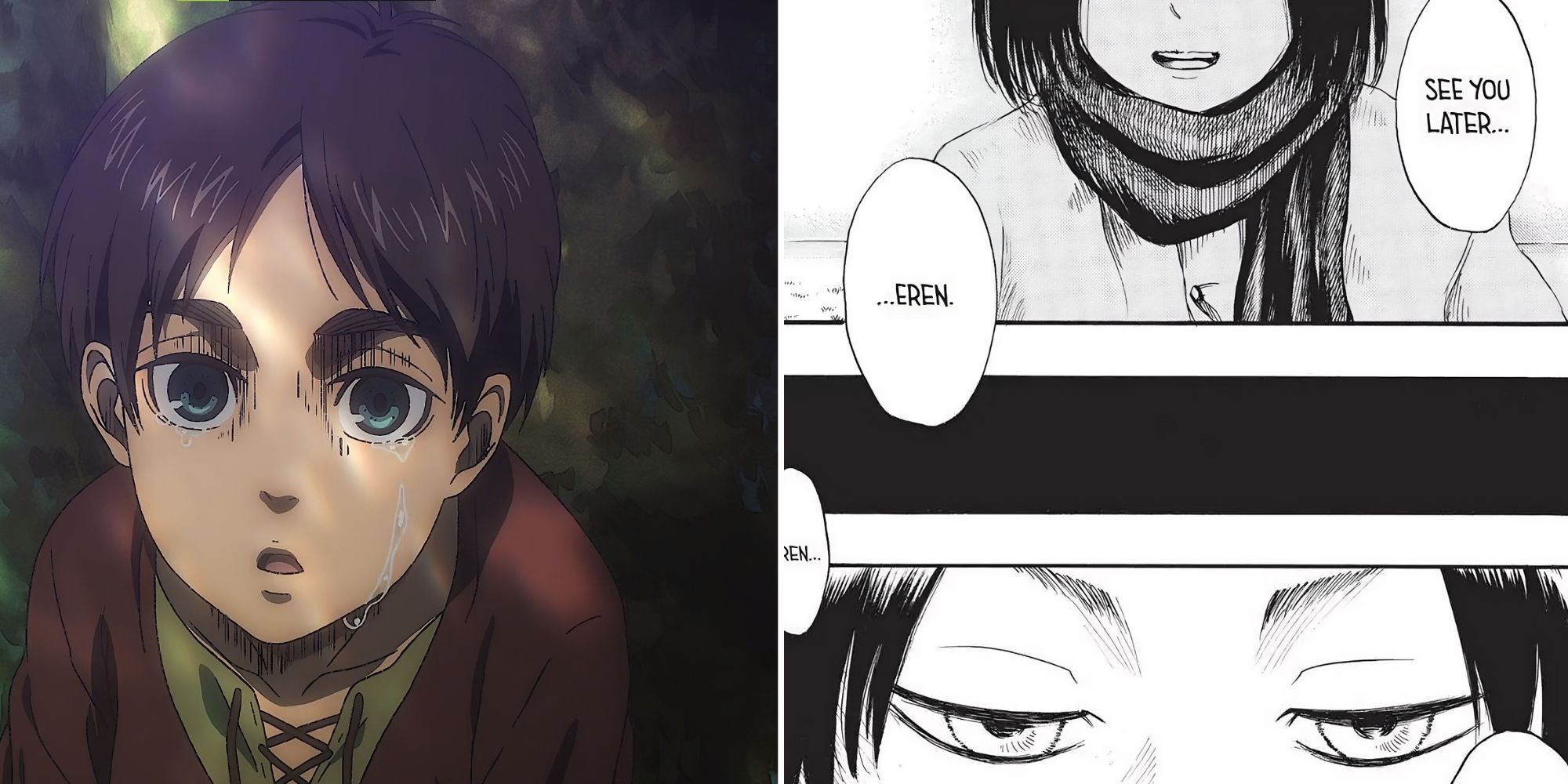Mikasa says see you later to Eren 
