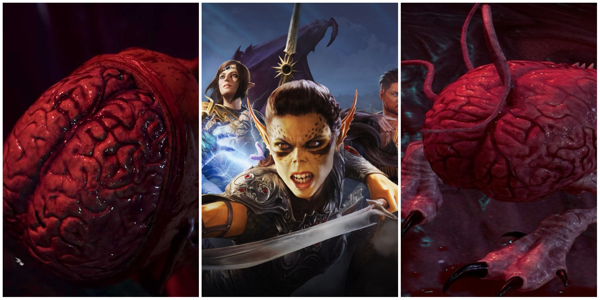 Baldur's Gate 3: The Brain Choice Guide