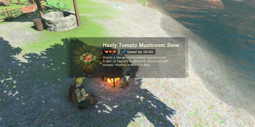 The Legend of Zelda Tears of The Kingdom Recipes - Tomato Mushroom Stew