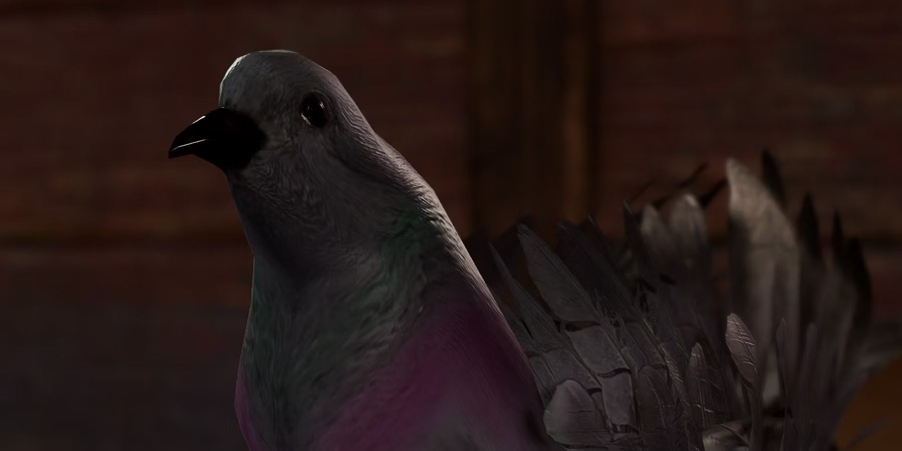 The Pigeon Commander in Baldur's Gate 3.