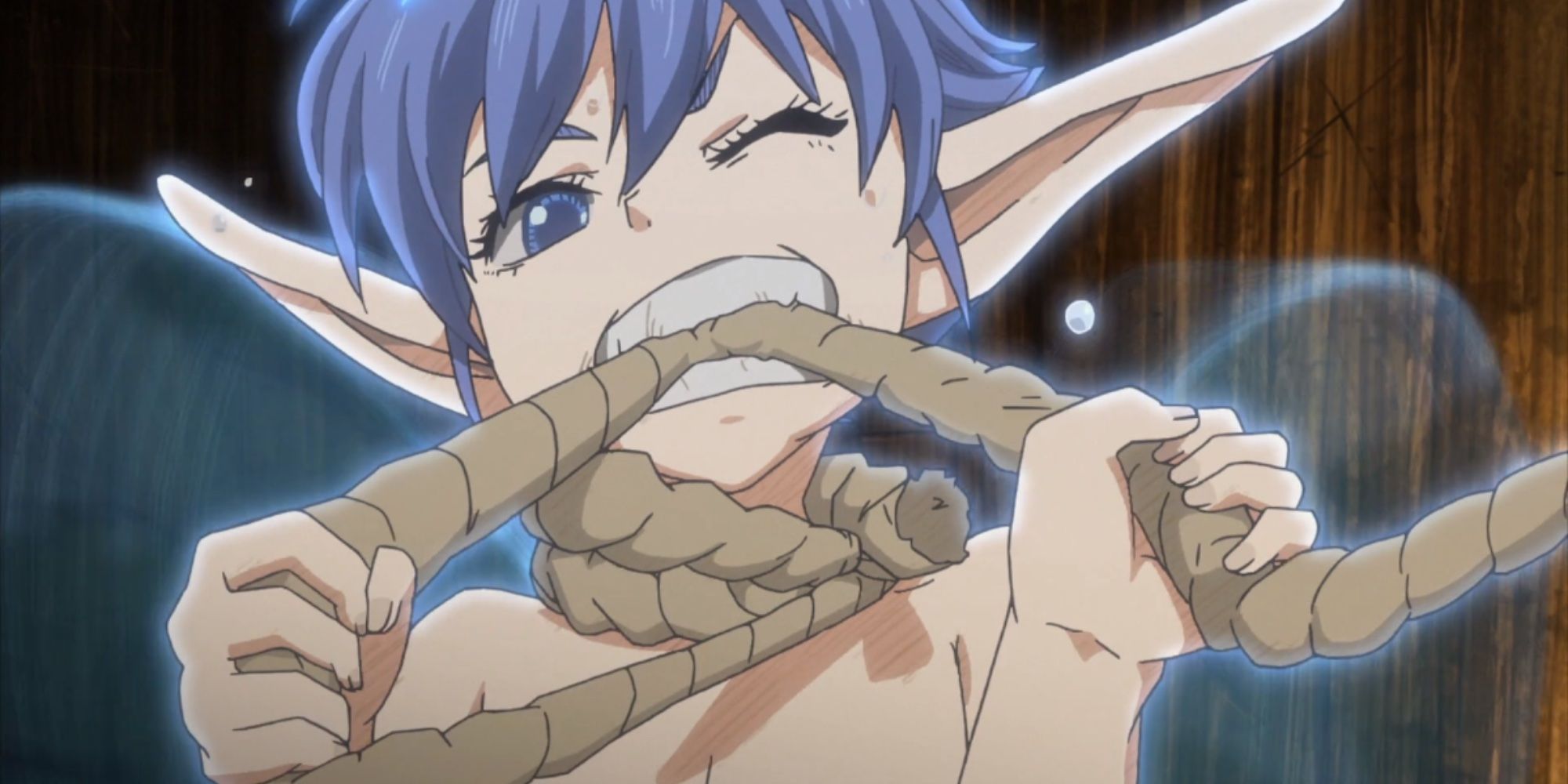 15 Best Elf Characters In Anime