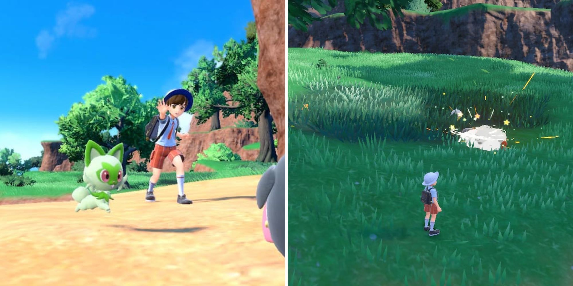 A Player Using Let's Go & Their Pokemon Fighting