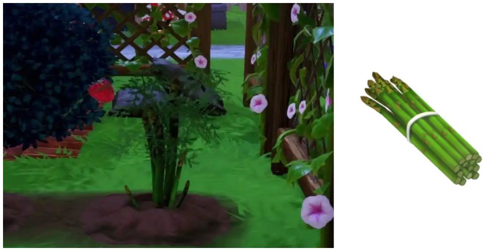 Ranking The Highest Selling Crops In Disney Dreamlight Valley