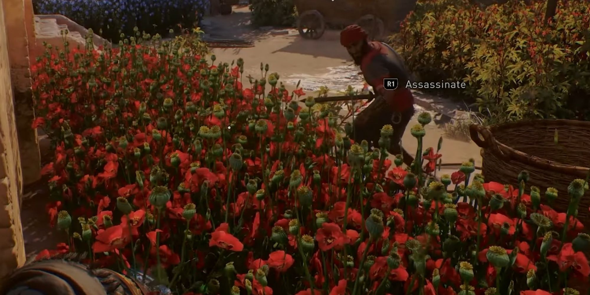 Assassins creed mirage hide in the flower fields to assassinate