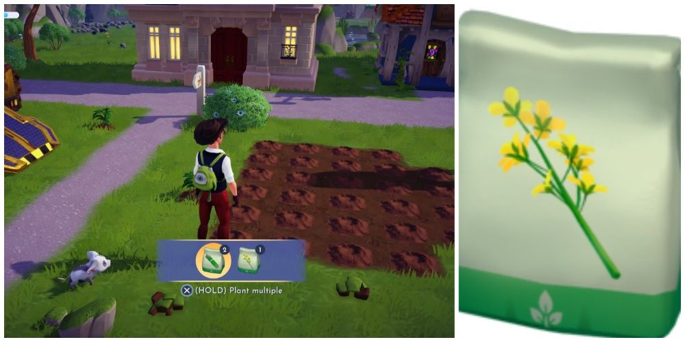 Ranking The Highest Selling Crops In Disney Dreamlight Valley