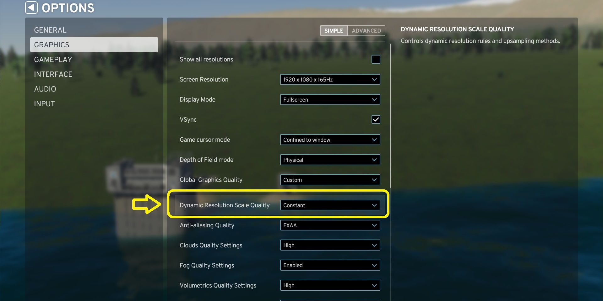 Best Graphics Settings to Improve FPS in Cities: Skylines 2