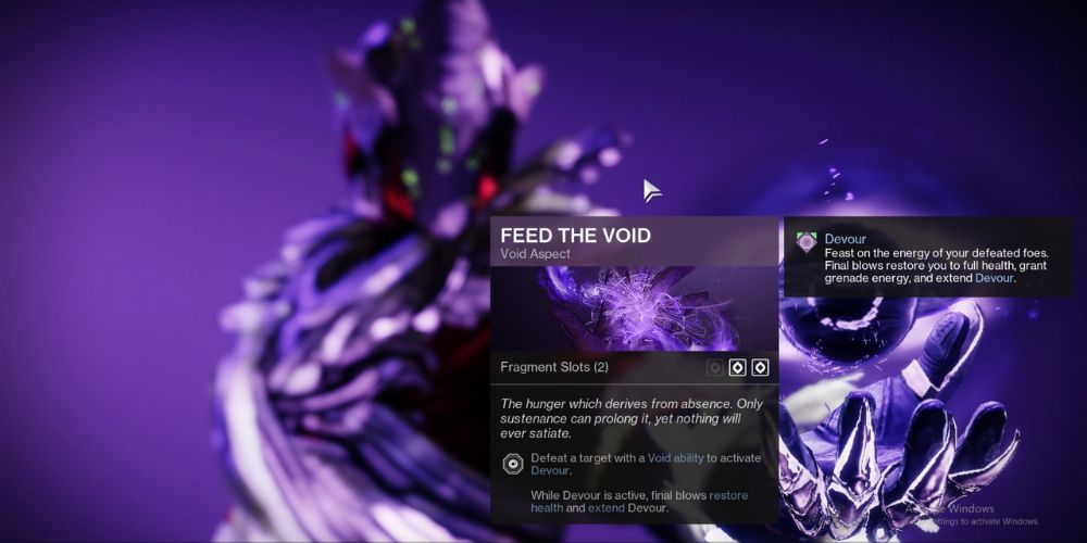 Feed the Void, Destiny 2, Best Void Aspects