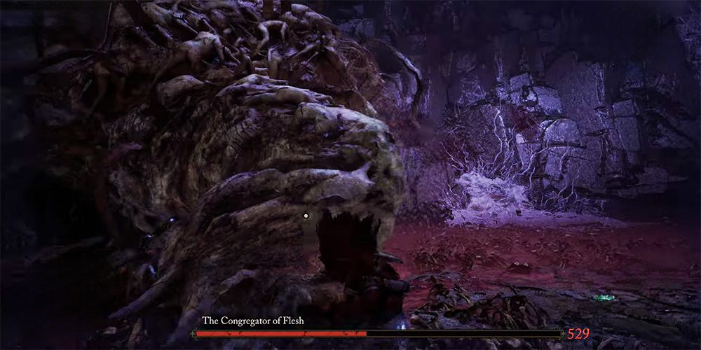 Lords of the Fallen, Congregator of Flesh, How To Cheese