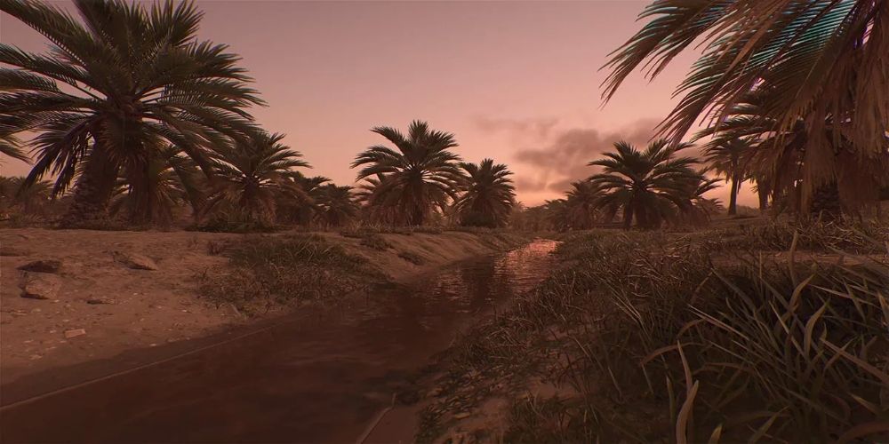 palm grove in assassin's creed mirage