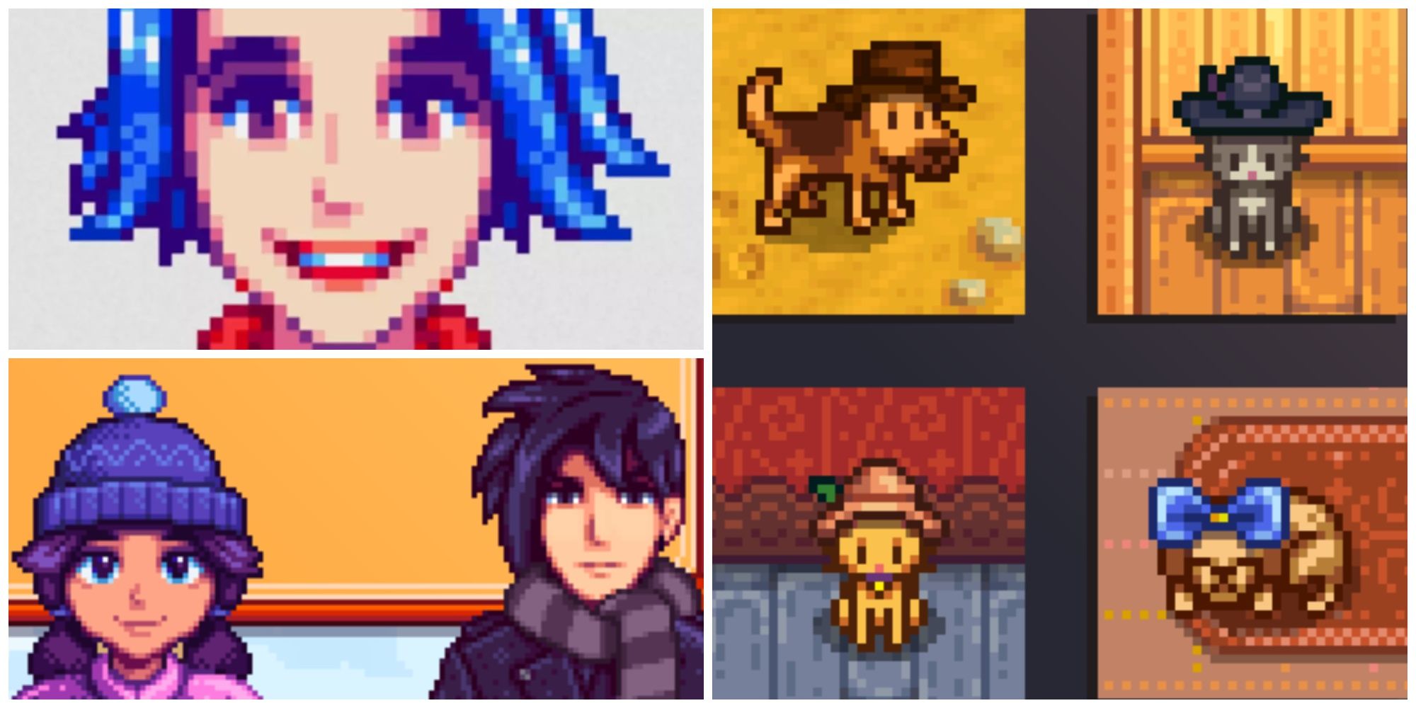 Stardew Valley Collage Winter Clothes Animals With Hats